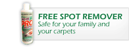 FREE Spot Remover